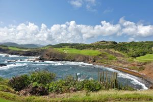 Cabot Saint Lucia (Point Hardy) 8th Cactus